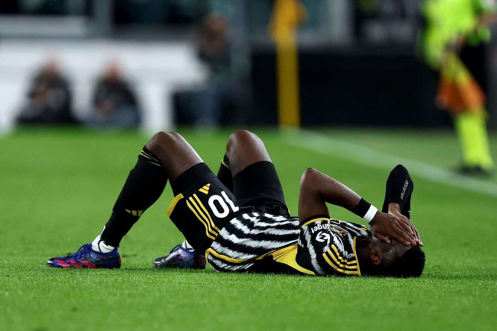 更是球迷们 更是球迷们