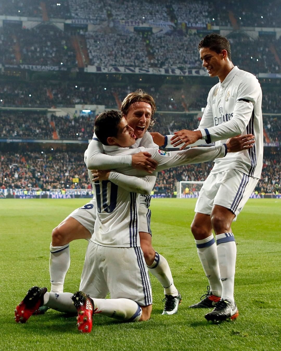 分别贡献了 分别贡献了